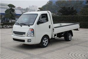 3-ton-small-mini-diesel-cargo-truck-euro-iv39097894562