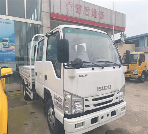 isuzu_double_row_cargo_truck-1