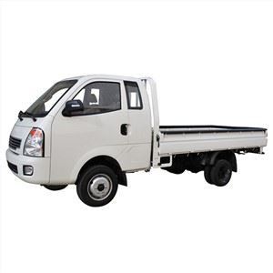 small-electric-cargo-truck-with-space-cab20081477664