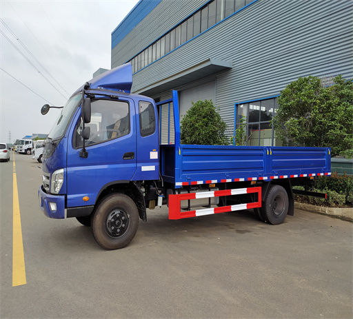 small_foton_cargo_truck-2